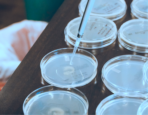 How Filtered Tips Are The Major Laboratory Equipment