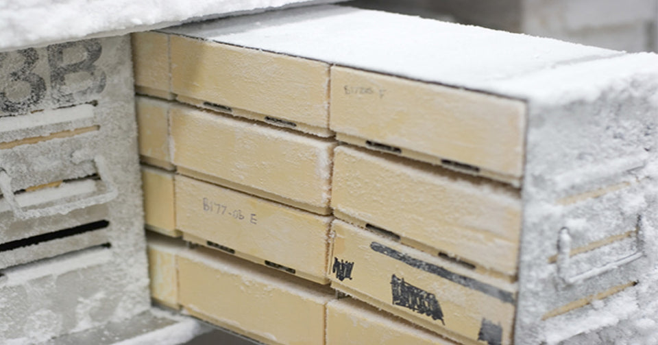 Upright Freezer Racks for Standard 2" Boxes