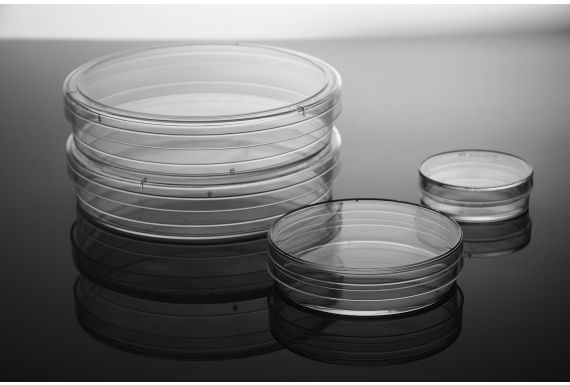 NEST® Cell Culture Flasks (All Types/Sizes)